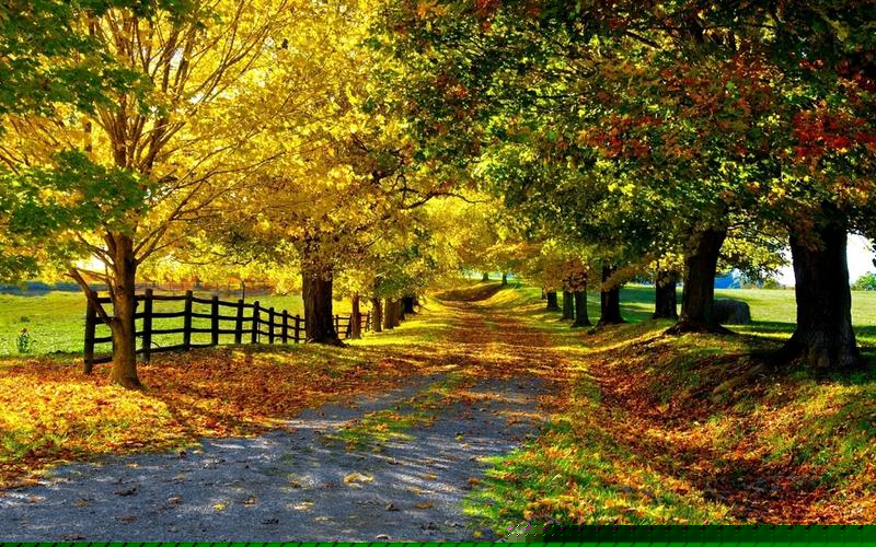 vape电子烟市场趋势和未来展望