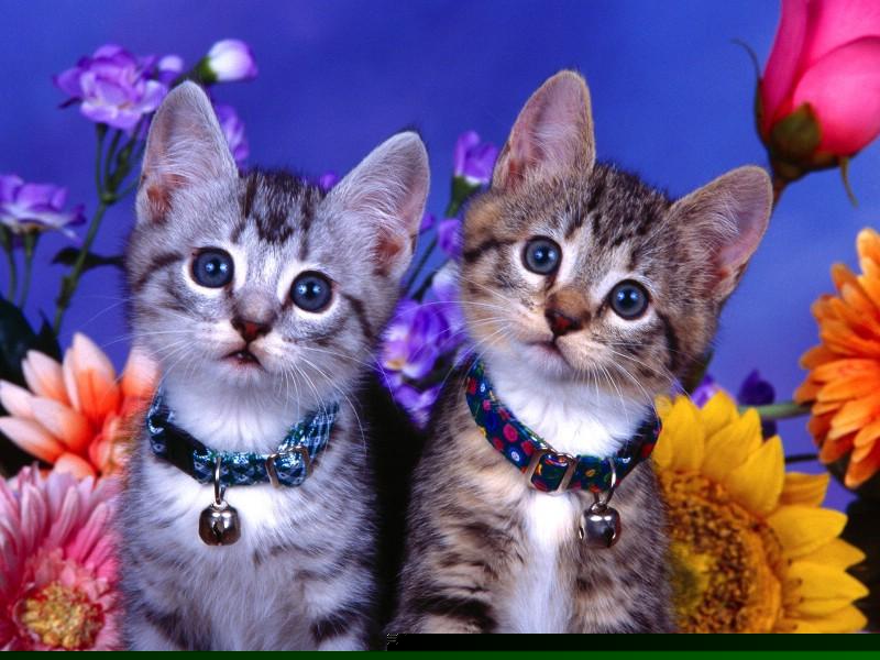 悦刻灯在家居照明中的多功能应用