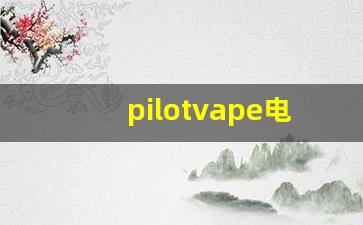 pilotvape电子烟货源批发渠道解析
