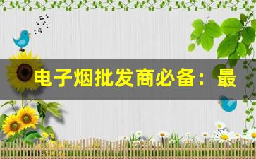 电子烟批发商必备：最受欢迎的电子烟货源APP推荐