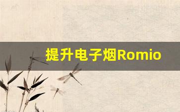 提升电子烟Romio货源采购效率的实用方法