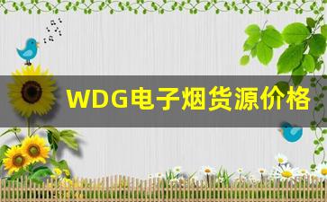 WDG电子烟货源价格分析：如何获得最具竞争力的报价