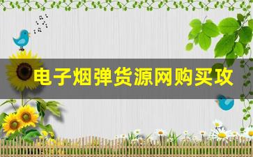 电子烟弹货源网购买攻略：选择最优产品