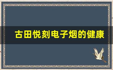 古田悦刻电子烟的健康影响与使用指南