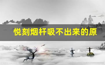 悦刻烟杆吸不出来的原因分析与应对策略